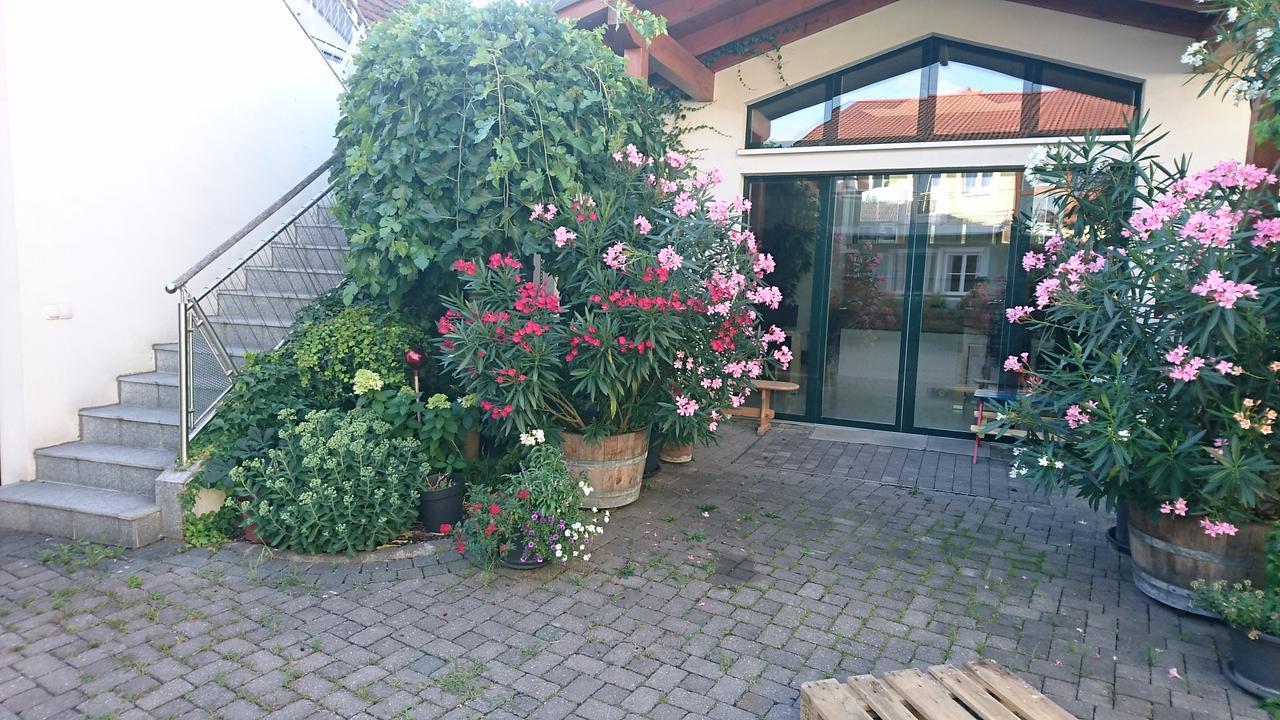 Weingut Familie Bauer 호텔 Grossriedenthal 외부 사진